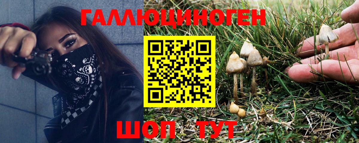 Псилоцибиновые грибы Cubensis  Псилоцибиновые грибы MAGIC MUSHROOMS  Вход с VPN  Грязи 